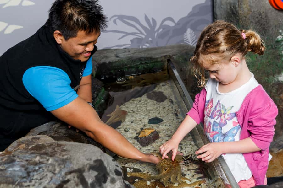 Sea Life Kelly Tarlton's Aquarium General Admission - Who should book this experience?
