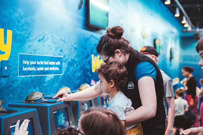 SEA LIFE Kelly Tarlton's General Admission - How long should you allow?