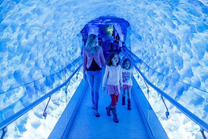 SEA LIFE Kelly Tarlton's General Admission - A few practical cautions