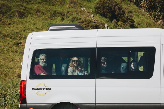 Seal Coast Safari - Exclusive access to Wellington's secret coast - From Wellington streets to Otari’s native forest