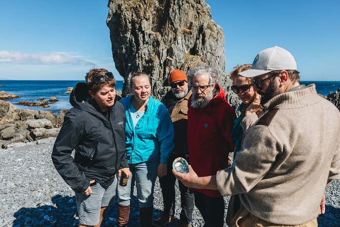 Seal Coast Safari - Exclusive access to Wellington's secret coast - Crossing Terawhiti Station by Mercedes 4WD