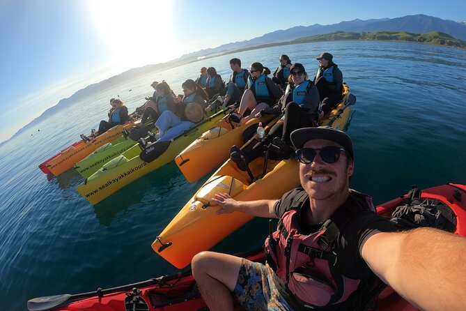 Seal Kayaking Adventure in Kaikoura - Choosing Between a Sunset Trip and Seal Spotting