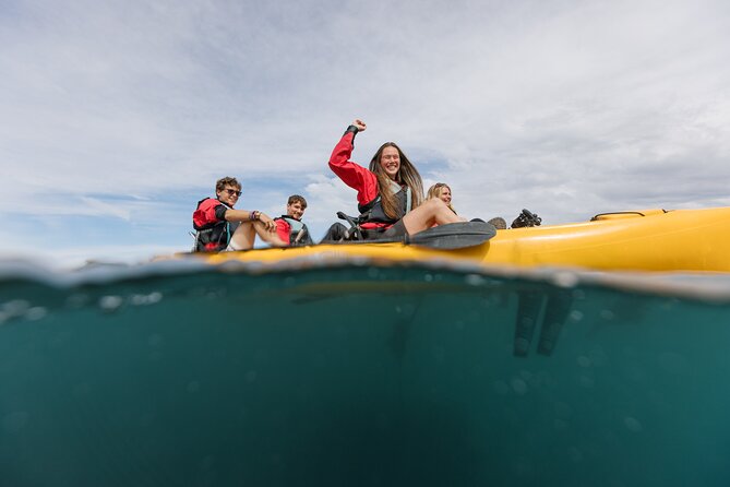 Seal Kayaking Adventure in Kaikoura - Who Will Enjoy This Three-Hour Outing