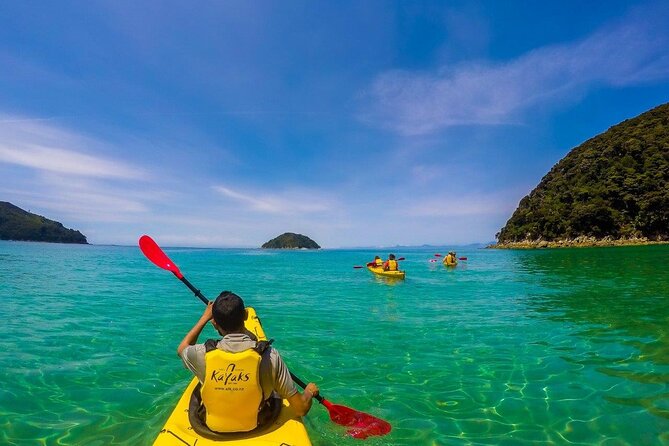 Seal Sanctuary Tour - Guided Kayaking - New Zealand - Why this short Abel Tasman trip works well