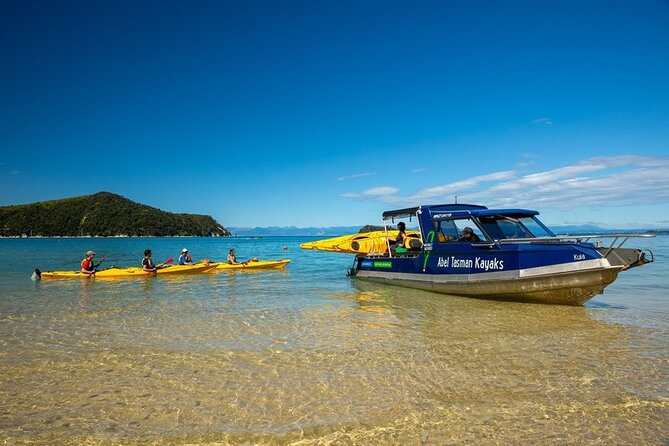 Seal Sanctuary Tour - Guided Kayaking - New Zealand - Weather, safety, and the cancellation rule