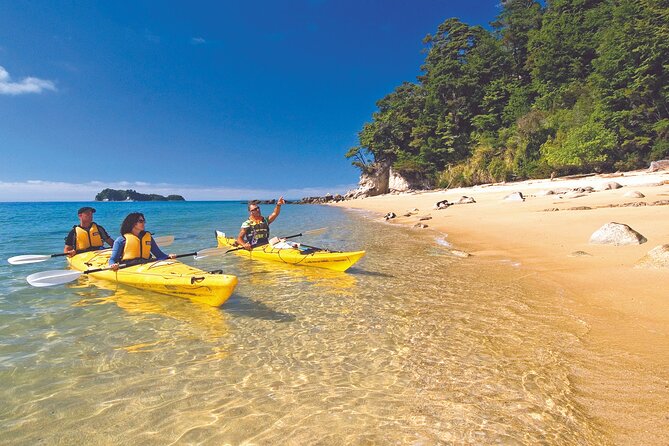 Seal Sanctuary Tour - Guided Kayaking - New Zealand - Water-taxi access to the Astrolabe coast