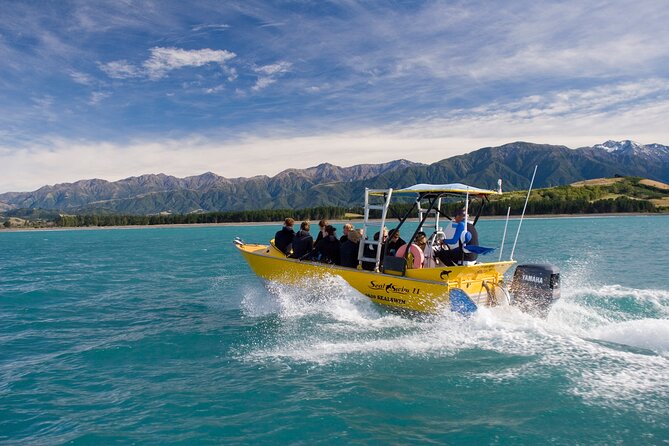 Seal Swimming Tour from Kaikoura - Swimming with Kaikoura’s wild fur seals