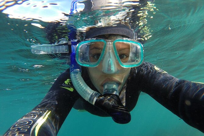Seal Swimming Tour from Kaikoura - What the 2.5-hour schedule feels like
