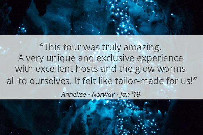 See Auckland's Secret Glow Worms - Leaving Auckland from the Ferry Building