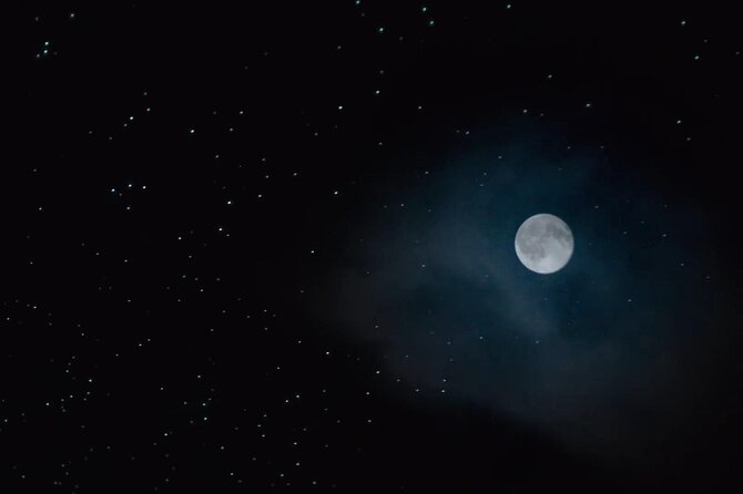 See Auckland's Secret Glow Worms - Should you book Auckland’s secret glow worms?