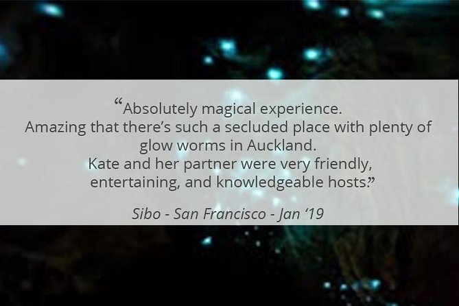 See Auckland's Secret Glow Worms - What the $77.57 price includes