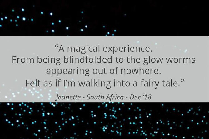 See Auckland's Secret Glow Worms - Timing, weather, and the return