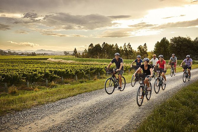 Self-Guided Biking Wine Tour (full day) in the Marlborough Region. - Key points before you book
