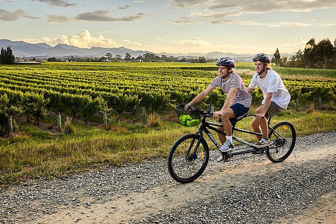 Self-Guided Biking Wine Tour (full day) in the Marlborough Region. - Riding between the wineries
