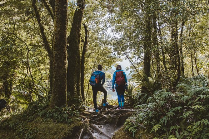 Self-Guided Milford Track Day Walk - Milford Sound - Giant Gate Falls gives the walk its payoff