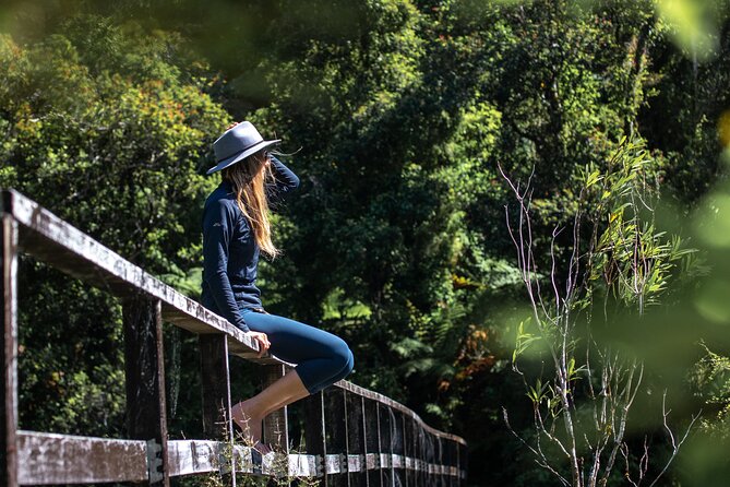 Self-Guided Milford Track Day Walk - Milford Sound - Price and value at $46.54 per person