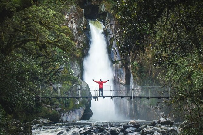 Self-Guided Milford Track Day Walk - Milford Sound - Weather, timing, and the small details that matter