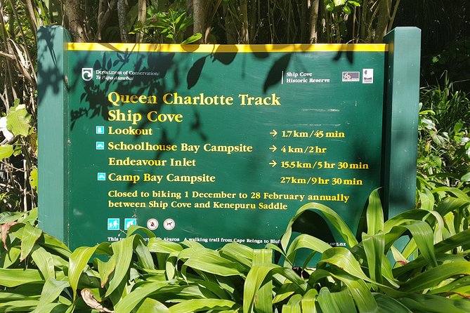 Self-Guided Queen Charlotte Track Walk from Picton - Why this Picton day trip works so well