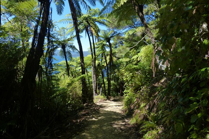 Self-Guided Queen Charlotte Track Walk from Picton - Is the $59.58 price good value?