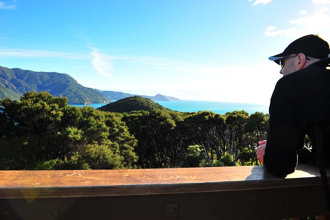 Self-Guided Queen Charlotte Track Walk from Picton - Who should book this walk?