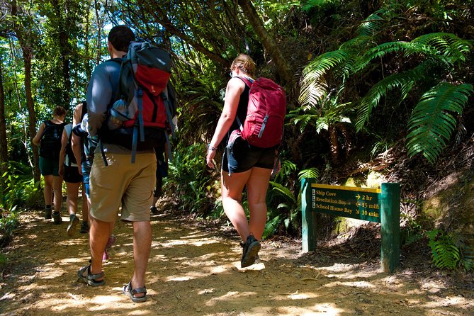Self-Guided Queen Charlotte Track Walk from Picton - Choosing between Ship Cove, Endeavor Inlet, and Torea Bay