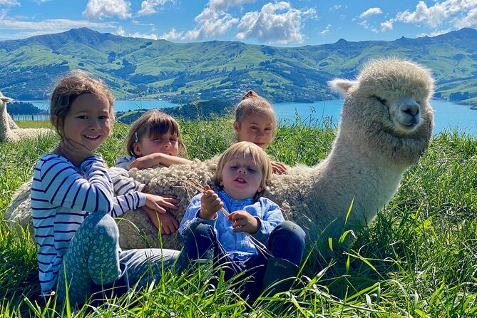 Shamarra Alpaca Farm Tours - Small extras that improve the visit