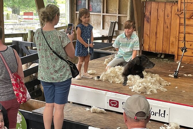 Sheep World Country Tour from Auckland - Who will enjoy this Auckland day trip?