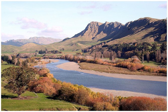 Shore Excursion: 4-Hour Discover Hawkes Bay and Napier Tour - A practical first look at Hawke’s Bay