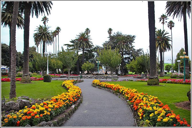 Shore Excursion: 4-Hour Discover Hawkes Bay and Napier Tour - Te Mata Peak at 399 meters