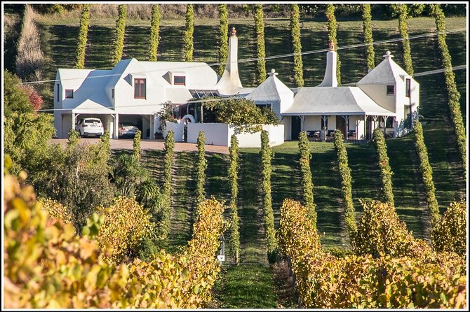 Shore Excursion: 4-Hour Discover Hawkes Bay and Napier Tour - Guides, commentary, and the human side