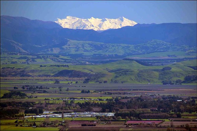 Shore Excursion: 4-Hour Discover Hawkes Bay and Napier Tour - The van question: comfort and sightlines