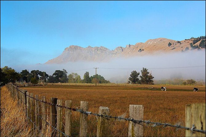 Shore Excursion: 4-Hour Discover Hawkes Bay and Napier Tour - How the timing works in a cruise port