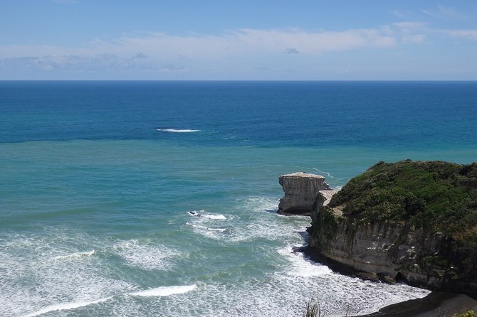 Shore Excursion: Auckland Scenic Full Day Tour - 8 Hours - West Auckland, Muriwai, and the Tasman Sea
