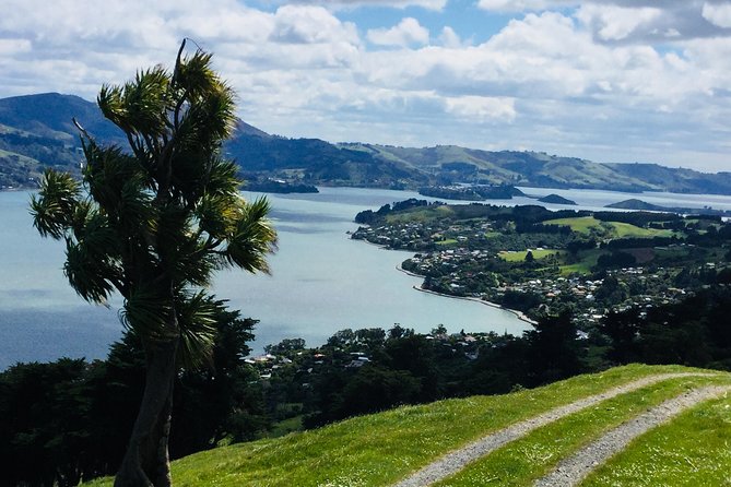 Shore Excursion: Dunedin City, Otago Peninsula, Castle Gardens & Olveston Tour - Why this tour works well from Port Chalmers