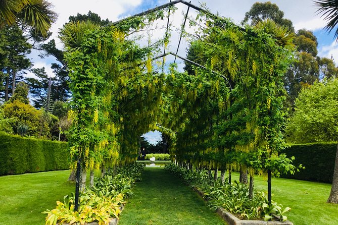 Shore Excursion: Dunedin City, Otago Peninsula, Castle Gardens & Olveston Tour - Larnach Castle gardens and the extra interior fee