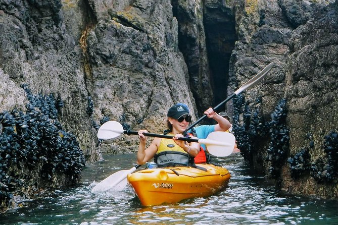 Shore Excursion Guided Sea Kayaking through Akaroa Marine Reserve - Why Akaroa is such a good kayaking setting