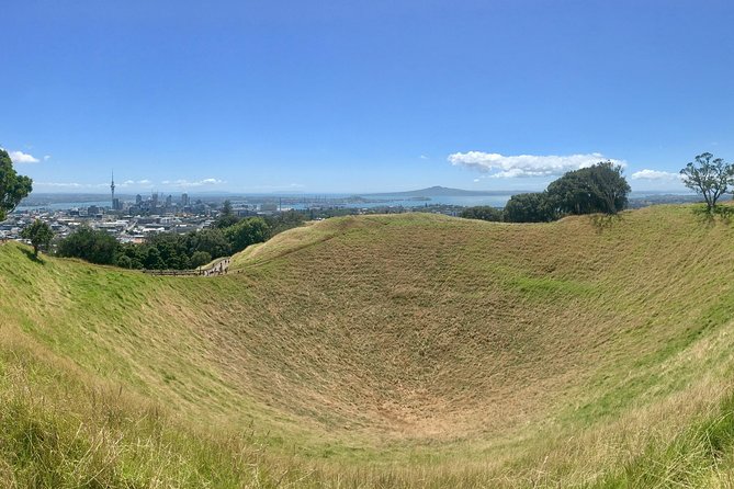Shore Excursion: Half-Day Auckland Volcanoes Tour - Key points at a glance