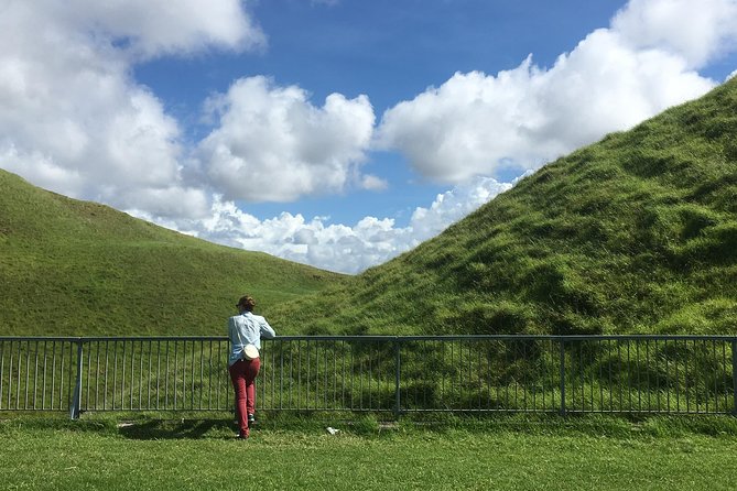 Shore Excursion: Half-Day Auckland Volcanoes Tour - Walking, comfort, and the small vehicle