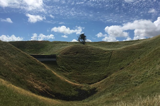 Shore Excursion: Half-Day Auckland Volcanoes Tour - Starting at Achilles Point above the Hauraki Gulf