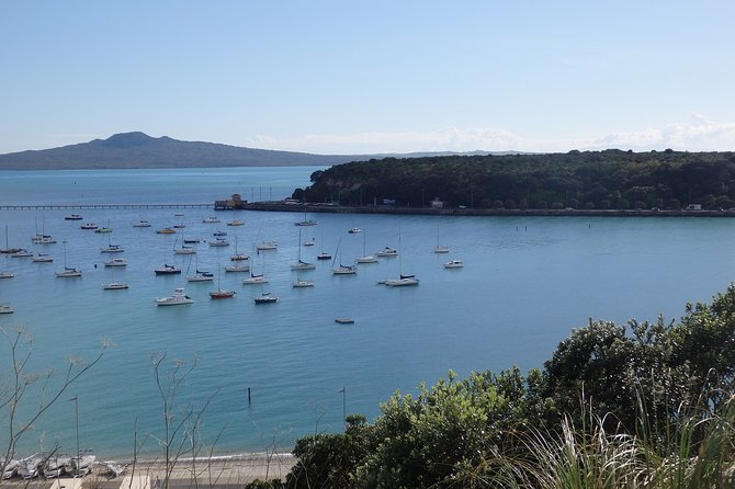 Shore Excursion: Half Day Small Group Auckland Scenic Tour - 4 HOURS - Why this four-hour route works for cruise passengers