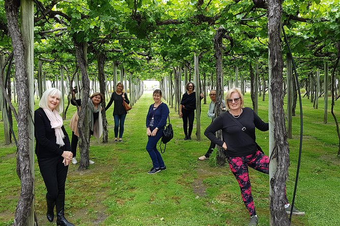 Shore Excursion Marlborough Wine Region Tour from Picton - Who should book this Marlborough excursion?