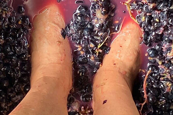 Sip & Savour through Waiheke Island (11 guests max) - Lunch is more than an afterthought