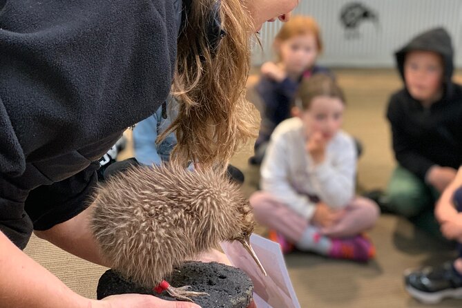 Skip the Line: Franz Josef Wildlife Center Ticket with Optional Backstage Pass - Key points before you go