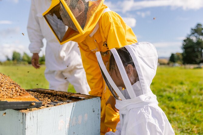 Small-Group Beekeeping Experience in Tauherenikau - Key points about the Tauherenikau honey tour