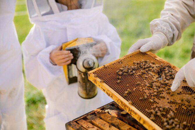 Small-Group Beekeeping Experience in Tauherenikau - Following mānuka honey into the factory