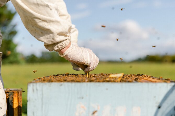 Small-Group Beekeeping Experience in Tauherenikau - Is $42.66 a fair price?