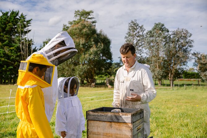 Small-Group Beekeeping Experience in Tauherenikau - Getting suited up for the hive inspection