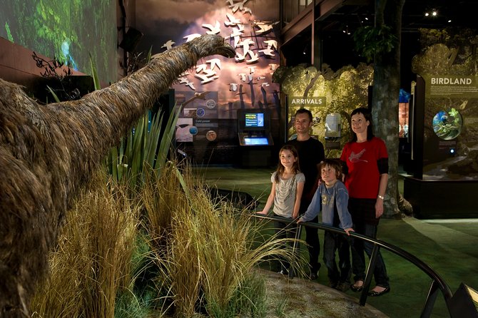 Small Group Daytime 2-Hour Eco Wildlife Tour at Zealandia - Starting at the Visitor Centre