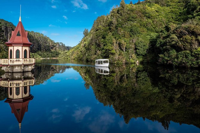 Small Group Daytime 2-Hour Eco Wildlife Tour at Zealandia - The birds you have a real chance to see