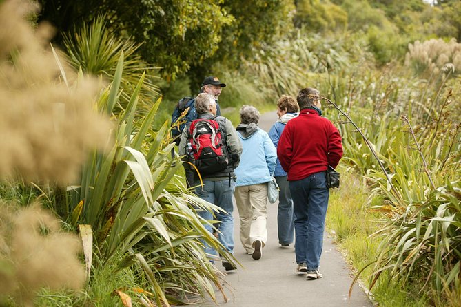 Small Group Daytime 2-Hour Eco Wildlife Tour at Zealandia - Reptiles, plants, and the tuatara search
